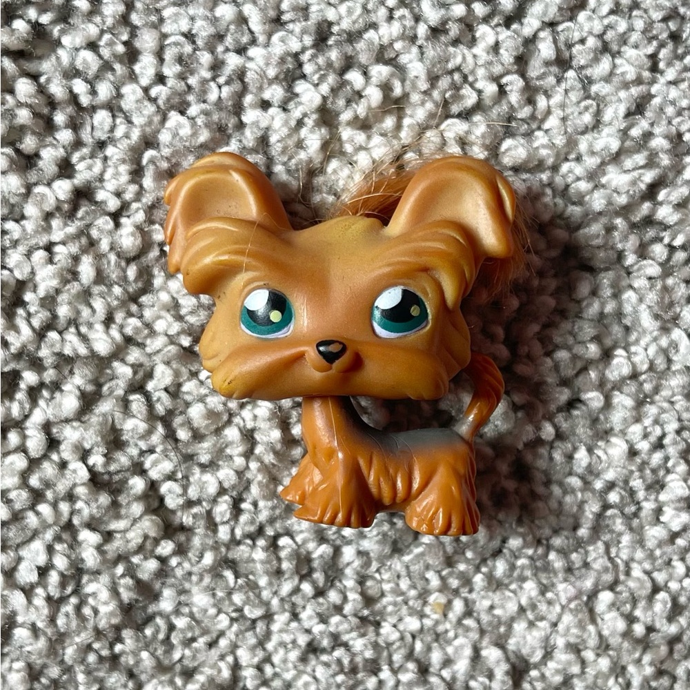 LPS Littlest Pet Shop Yorkie Dog #6 Authentic